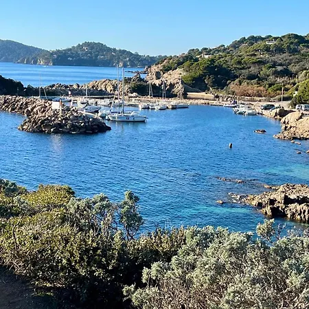 5 With Pool Near The Sea Holiday home Hyeres