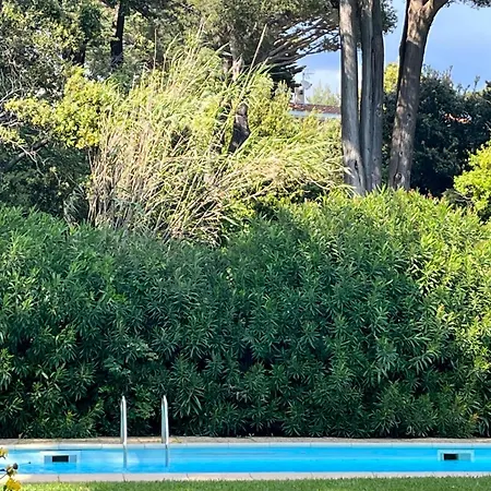 5 With Pool Near The Sea Hyeres