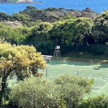 5 With Pool Near The Sea * Hyères